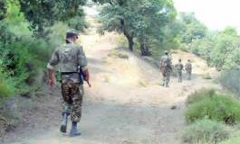 Boumerdès :  trois "émirs" de l’organisation terroriste Aqmi éliminés