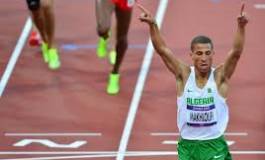 J.O. de Londres : Taoufik Makhloufi qualifié haut la main en finale