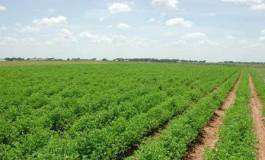 La police passe à tabac des agriculteurs à Bouira