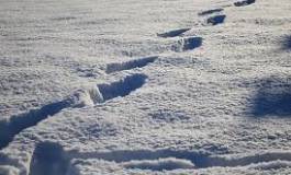 Intempéries : 90% des écoles toujours fermées à Tizi Ouzou