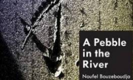 Les lignes en fractures de Naoufel Bouzeboudja