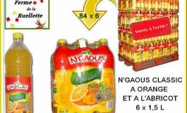 Quand N’Gaous fantasme ! (Vidéo)