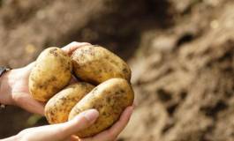 Nouvelle liste additionnelle de produits agricoles pour l’importation