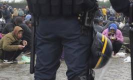 Retour de Calais : l’homme est-il vraiment un loup pour l’homme ?