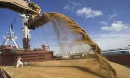 Les importations des céréales en hausse continue au 1er semestre 2015