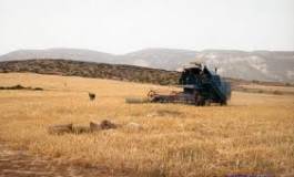 L’Etat subventionnera à hauteur de 70% pour renouveler les moissonneuses