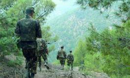 Boumerdès : un terroriste capturé par l'ANP à Ammal