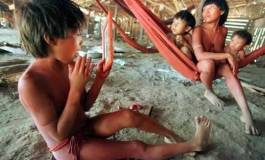 Venezuela : la tribu Yanomami massacrée en Amazonie