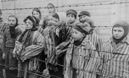 Un touriste repart avec des barbelés d'Auschwitz