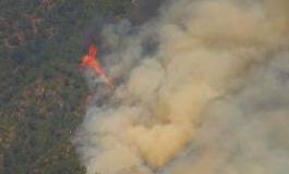 Les flammes dévorent les massifs forestiers de Kabylie