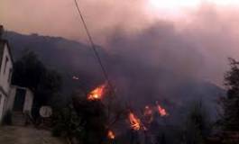 Incendies de forêts : entre silence et cafouillage en haut lieu