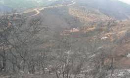 Mizrana (Kabylie) : plusieurs villages sous des flammes ravageuses