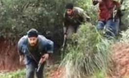 Ain Defla : Incursion terroriste à Bouarous