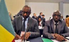 Mali : Bamako et la Cédéao d'accord pour le déploiement d'une force africaine