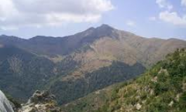 Kabylie : un marché d’automne en hommage aux cultivatrices à Aït Ouabane