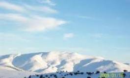 Batna : les premières neiges enjolivent les hauteurs