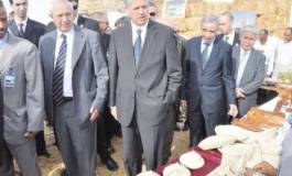 Le gouvernement Sellal au Grand sud : agenda en alarme