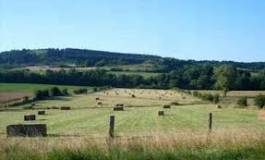 Oran : plus de 100 ha de foncier détournés en 2 ans