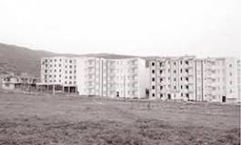 Oran : le foncier agricole perd du terrain au profit du béton