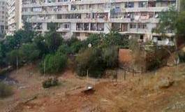 Affaire des Bois des Pins (Hydra) : la wilaya d'Alger déboutée