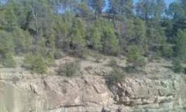 Khenchela : des experts méditerranéens à la découverte de la forêt de Beni-Melloul