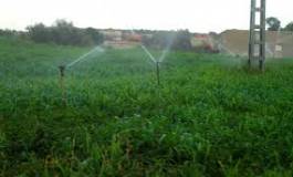 Extension de la surface des terres agricoles à Relizane
