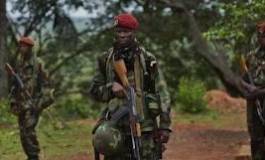 Centrafrique : Alindao et Kouango tombent aux mains des rebelles