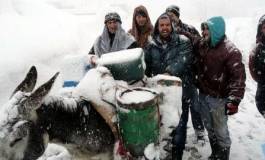 Vague de froid : le spectre de l'hiver dernier plane sur la Kabylie