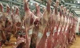 Algérie : 3 grands complexes d’abattage et de froid réceptionnés en avril 2014