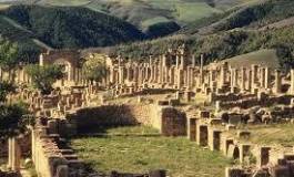 Le renard et le hérisson