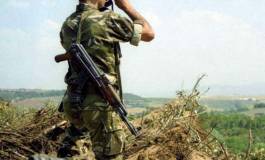 Les unités de l'ANP éliminent douze terroristes à Chlef et à Boumerdes