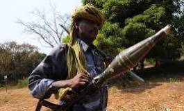 Centrafrique : la Séléka maintient le gouvernement, Bozizé en fuite