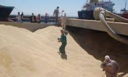 Forte hausse de la facture des importations de blé