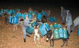 La lutte contre le trafic de carburant commence à porter ses fruits