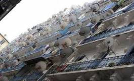 Le projet de loi sur l’audiovisuel : des chaînes thématiques avec de l’info