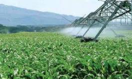 Tripartite: pour une charte sociale et une stratégie de relance économique