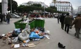 Alger croule sous les ordures, à qui la faute ?
