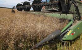 La sécurité alimentaire est-elle subordonnée à la maîtrise d’une agriculture high-tech ?