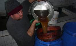 Kabylie : 17e fête des olives d’Akbou