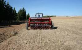 Pauvre agriculture algérienne !