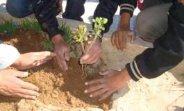 L’Armée nationale populaire a planté 2 millions d’arbres