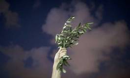 Pourquoi l’AFP refuse de publier l’appel de 68 Nobel pour un cessez-le-feu à Gaza ?