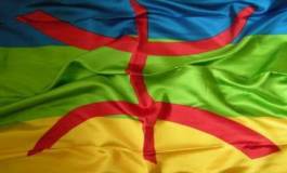 Pour la reconnaissance officielle de la langue amazighe dans la Constitution algérienne