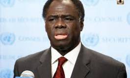 Burkina Faso : Michel Kafando "président par intérim"