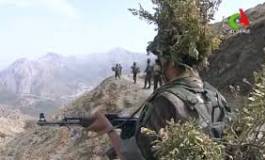 Un terroriste abattu par les forces de l'ANP en Kabylie