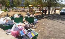 Ce bonheur algérien !!!