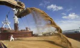 Hausse de plus de 17% des importations de céréales au 1er trimestre