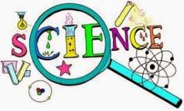 Les magiciens de la lumière à l’université d’Oran