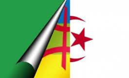 Tamazight, ce sein à cacher ?