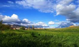 Batna : début de la récolte des céréales dans les zones escarpées